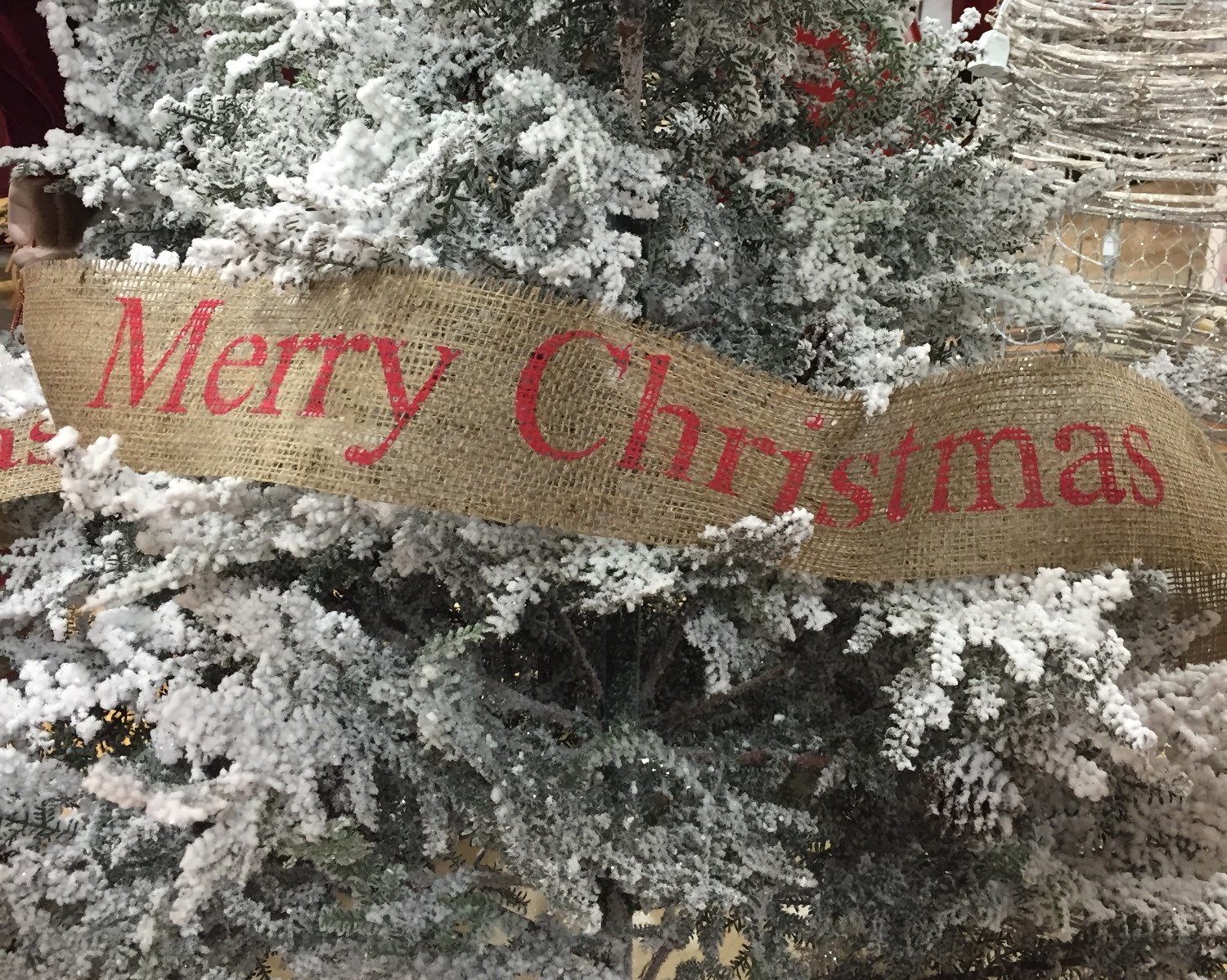 How to use burlap to wrap trees/plants for Christmas and winter
