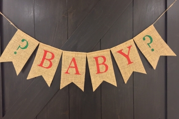 Holiday Baby Announcement Banner