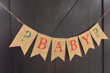 Holiday Baby Announcement Banner
