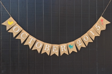 Baby Shower Banner "Customizable with Nursery Graphics"